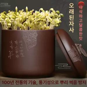 셀렉트하루 집에서콩나물키우기 옹기 재배기