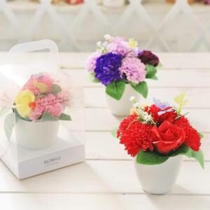 VCO 비누꽃 카네이션 화분 어버이날