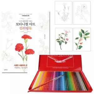 어린이색칠놀이 수채색연필36색n컬러링북set 심리안정 그림북 스트레스해소 인지활동 지능발달