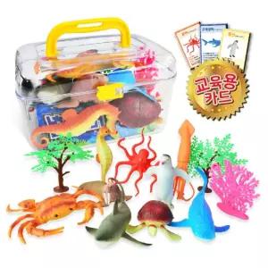유치원 자연 학습카드n해양동물 피규어모형 조카선물 바다의세계 홈스쿨링 가정보육 방과후 인기