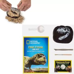 자연탐구 놀이학습교구 공룡이빨 화석발굴 자연학습교구 자연과학 아이장난감 어린이장난감 추천
