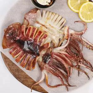 [인정식탁][건강한바다] 반건조오징어 5미 소 (450g)