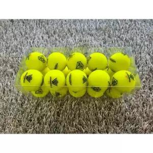골프공 다이아윙스 M3x 장타 비거리 고반발 볼 무광옐로우 20구 투명케이스 포장 레몬볼.