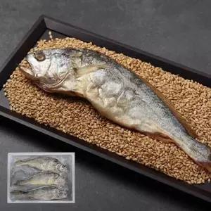 영광 부세보리굴비 왕특대 10미 31-33cm)