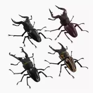 헤라클레스 장수풍뎅이 피규어 동물 세트 헤라클래스 곤충
