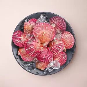 국내산 통영 홍가리비 당일발송 신선배송 제철 해산물 1kg/2kg/3kg