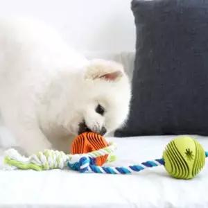 [골드스마일]강아지 로프 간식 놀이 노즈워크 장난감 (색상랜덤)