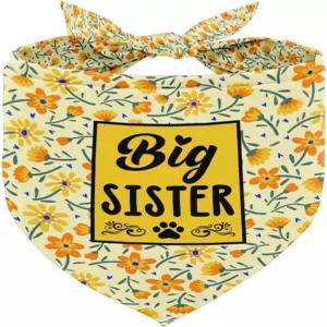 봄 데이지 강아지 반다나 - 스카프 액세서리 빅 시스터 성별 공개 선물 (E22)