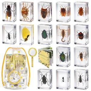 BETENSH 15 실제 곤충 수지 표본 세트 - 과학 교육용 수지, 교실 생물학, 보관 가방이 있는 벌레 관찰 키트, 및 지침서 u200B