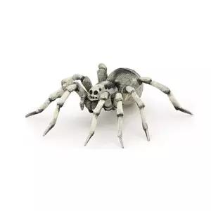 리얼 곤충 타란튤라 거미피규어 장난감 학습 전람 촉감놀이