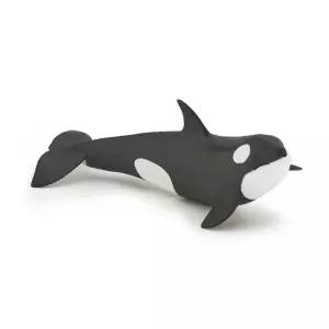 아기 범고래 피규어 동물인형 장난감 완구 전시 지능개발