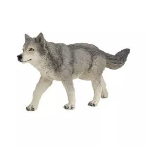 티베트승냥이 자연학습 교구 늑대 피규어 선물용 놀이 촬영소품