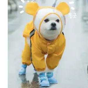 강아지 레인코트 우비 비옷 방수 귀쫑긋 후드 야광 야간산책 리드줄 구멍