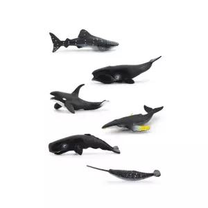 멸종위기 동물피규어 바다고래친구들 취미 학습 입체
