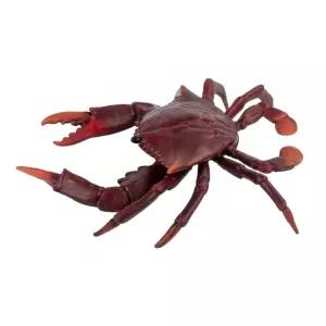 어린이 생룰관찰 과학완구 갑각류 꽃게 동물모형 장난감 육아템