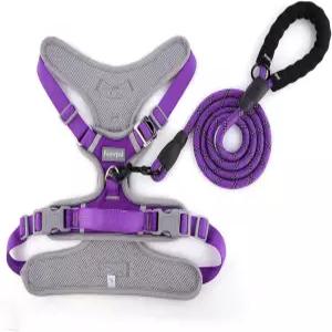 Paawpal 조절 가능한 개 하네스 - 소형 중형 대형견을 위한 당김 방지 반사형 부드러운 패딩 처리 목줄