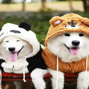 골든리트리버옷 후드 방한복 중대형견옷 반려견 강아지옷