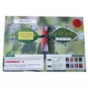 과학 수업교구 광합성 알아보기 팝업북 만들기 DIY 북아트 3세트 교육활동