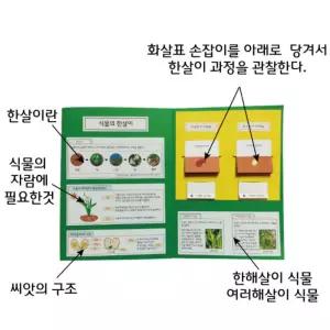 과학 수업교구 식물의한살이 학습 팝업북 만들기 DIY 북아트 3세트 학습놀이
