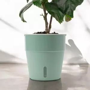 [골드스마일]워터윈도우 자동급수 화분 5p세트 심지 저면관수 포트 베란다포트