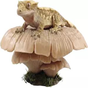 버섯 파충류 선반 청개구리 테라리움 수조 액세서리 크레스티드 게코 개구리 서식지 어항 장식 액솔로틀