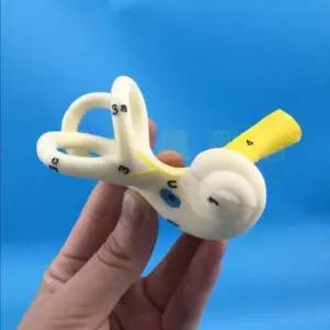 반고리관 인체구조 달팽이관 모형 교육자료 교육 인체 귀 보조도구