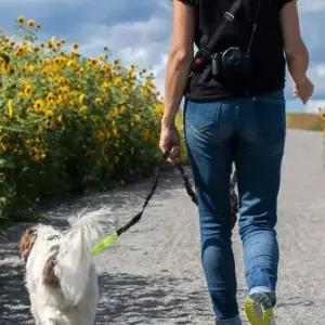 [반려] 핸즈프리 리드줄