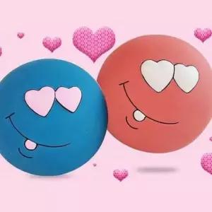 [반려] 강아지 장난감 애견 공놀이 라텍스 스위티볼 소 10개