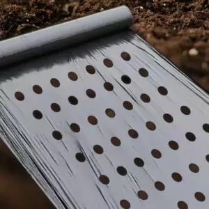 제 비닐 농사 잡초 유공 멀칭 제초 7구 잡초차단 135cm x 10m 초비닐 용제초매트