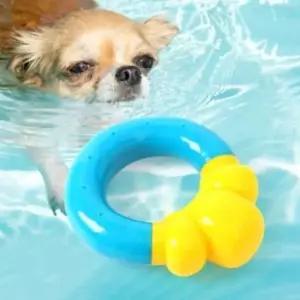 [반려] 강아지 장난감 튜브 반려동물장난감 애견장난감