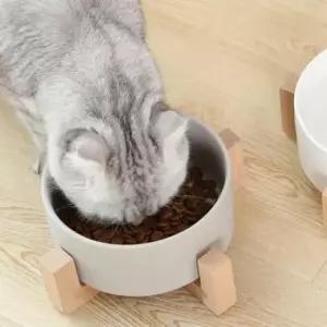 [반려] 반려동물 우드받침 도자기식기 강아지 고양이밥그릇