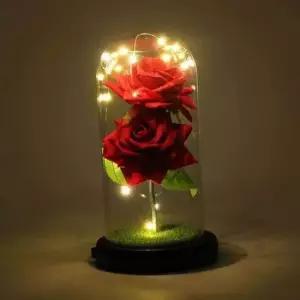 [데코] 장미 무드등 기념일선물 꽃무드등 유리돔꽃 꽃조명