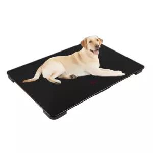 대형견 강아지 체중계 대형 몸무게 동물병원 측정기 저울 애견샵