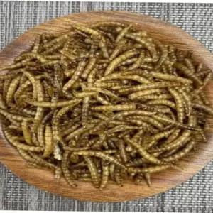 스텐장난감 열풍건조 밀웜 소동물/새/햄스터사료 20gx16개