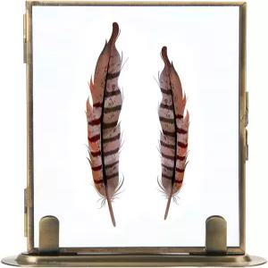 4x6 황동 플로팅 프레임 빈티지 골드 액자 금속 스탠드가 있는 더블 글래스 프레스 플라워 웨딩 홈