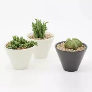 [서사상사] 식물 도자기 다육이 화분 키우기 반려식물 넓은 관리 인테리어 재배 분갈이 (단품)