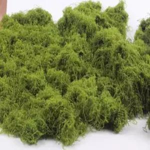 넝쿨장식 이끼 인조 인테리어 옥상 스튜디오 1개