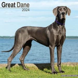 그레이트 데인 캘린더(유로) - 개 품종 캘린더 2023~2024 월 16개월 에이본사이드