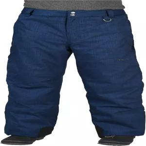 아크틱스 남성용 산악 단열 스키 팬츠