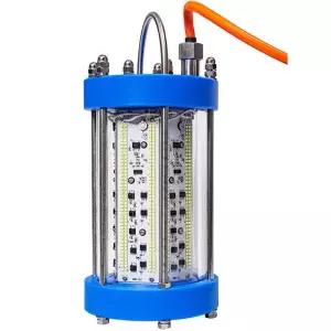수중 집어등 12V 갑오징어 문어 쭈꾸미 한치 케미 LED 램프 몽땅