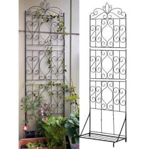 장미 지지대 넝쿨 식물 울타리 아치 철제 정원철제