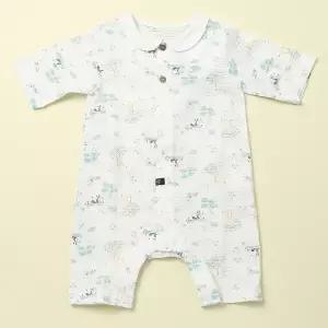 [롯데백화점]타티네쇼콜라 팬더우주(출산50일백일선물)TNOMQX06UW