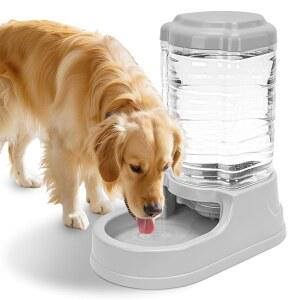 케논드 2.5갤런 자동 반려견 물 디스펜서, 반려견용 중력 물그릇, 9.5L 대형 물그릇 실내/외 반려견에게 적합