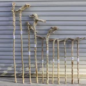 나무지팡이 효도지팡이 감태나무 원목 등산 스틱 노인정