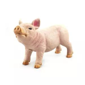 소프트 포유류 동물 모형 장난감돼지 체험 학습 기념 자연교구