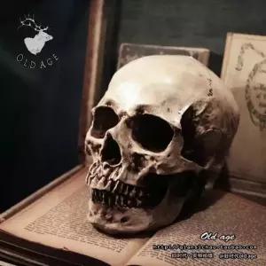 지닌 장 모형 장식 실제사이즈 해골 해골모형 바가지