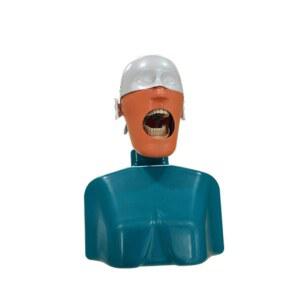 교육모델 교구 구강 교육 발치형 하악 개구부 수 옵션1 마취옵션1 구강모형