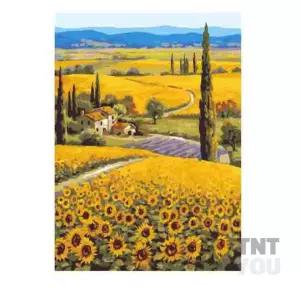 티앤 보석십자수 언덕 40X50 어린이보석십자수 비즈스티커 비즈아트