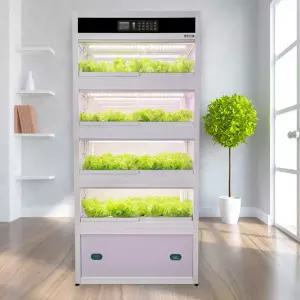 집에서채소키우기 실내온실장 배란다 텃밭