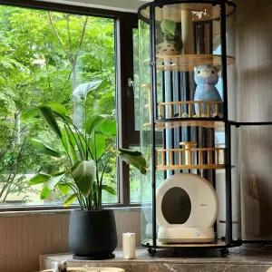 튼튼한 캣타워 고양이 먼치킨 캣폴 호텔장 베란다